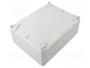 ELEKTRO-PLAST NASIELSK Carcasa Industrial Universal Gris IP65 IK07