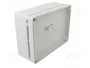 ELEKTRO-PLAST NASIELSK Carcasa Industrial Universal Gris IP65 IK07