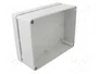 ELEKTRO-PLAST NASIELSK Carcasa Industrial Universal Gris IP65 IK07