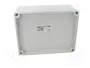 ELEKTRO-PLAST NASIELSK Carcasa Industrial Universal Gris IP65 IK07