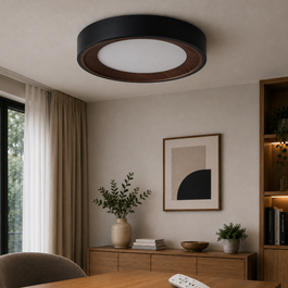 GreenIce Deco Plafón LED Decorativo 30W CCT Negro