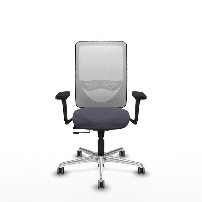 PIQUERAS Y CRESPO Silla de oficina Zulema con mecanismo Sincro/Traslack, Gris oscuro y Blanco PIQUERAS Y CRESPO Silla de oficina Zulema con mecanismo Sincro/Traslack, Gris oscuro y Blanco