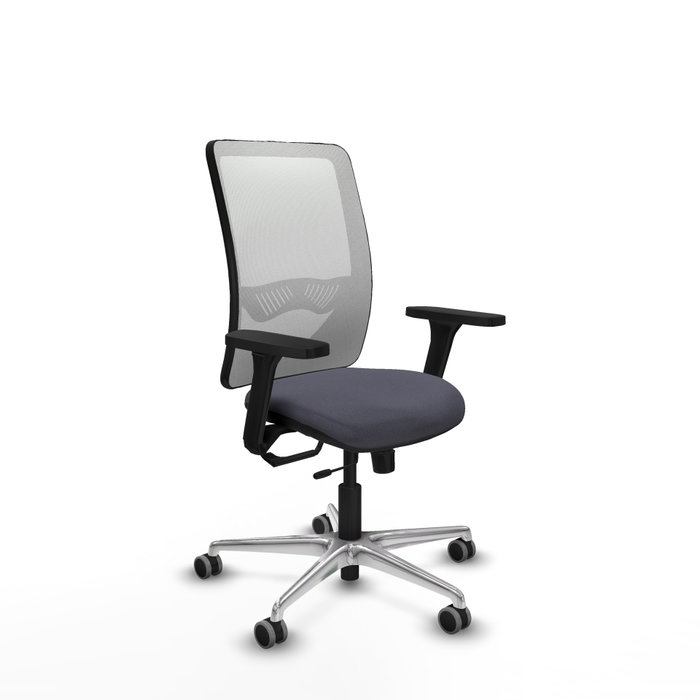 PIQUERAS Y CRESPO Silla de oficina Zulema con mecanismo Sincro/Traslack, Gris oscuro y Blanco PIQUERAS Y CRESPO Silla de oficina Zulema con mecanismo Sincro/Traslack, Gris oscuro y Blanco