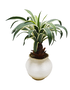 DKD Home Decor Planta PE Magnesia Verde y Crema 60x60x65 cm