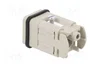 WIELAND Conector HDC Macho 5 Pines Tamaño 3