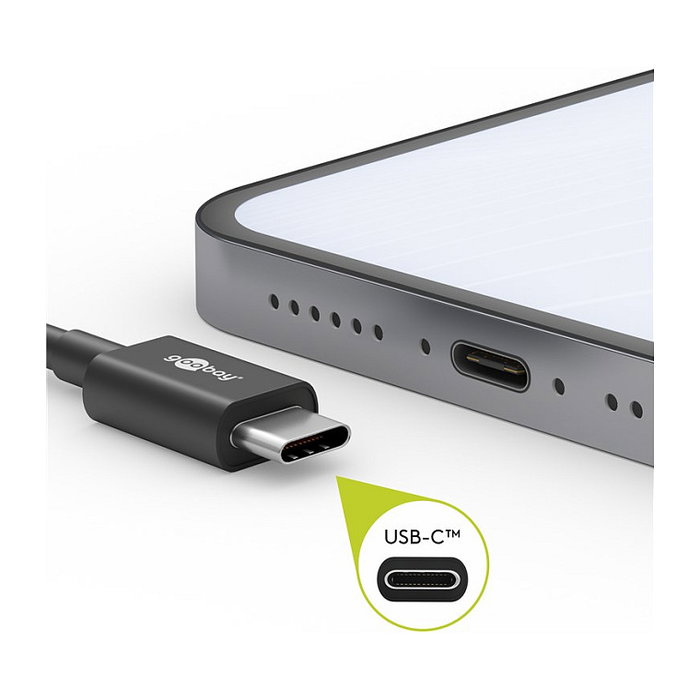 Goobay 49303 Cable USB-C a USB-C 2m, USB 2.0 480 Mbps, Carga 3A, Conectores de Metal Gris/Plata