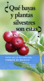 OMEGA, ¿QUÉ BAYAS Y PLANTAS SILVESTRES SON ESTAS? - Guías de la naturaleza