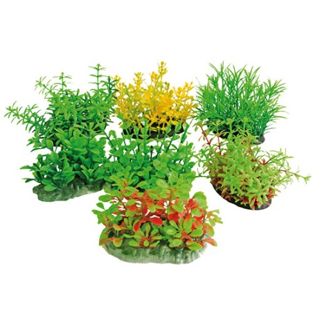 Nayeco Planta Tropical 8 cm Nayeco Planta Tropical 8 cm