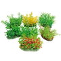 Nayeco Planta Tropical 8 cm
