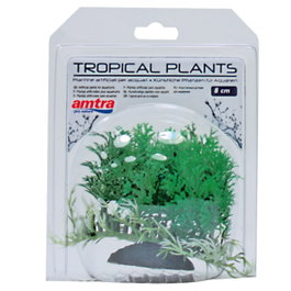 Nayeco Tropical Plant 8cm