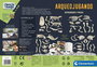 Clementoni Juego Arqueojugando Depredadores y Presas - Juego Educativo en Español - 42x29x6.5 cm