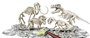 Clementoni Juego Arqueojugando Depredadores y Presas - Juego Educativo en Español - 42x29x6.5 cm
