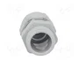 LAPP SKINTOP® Sello aislante PG13,5 gris claro