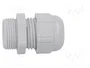 LAPP SKINTOP® Sello aislante PG13,5 gris claro