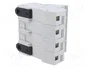 DF ELECTRIC Portafusibles PMX 14x51mm 3+N 50A 690VAC para raíl DIN
