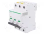 SCHNEIDER ELECTRIC Interruptor magnetotérmico iC60N 1A 3 polos