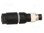 LAPP Conector M8 macho de 3 pines, recto, IDC
