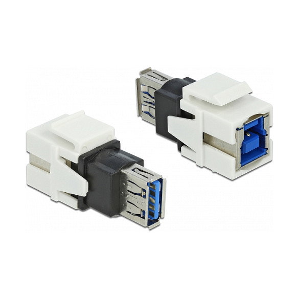 DeLOCK Módulo Keystone USB A Buchse a USB B Buchse 5 Gbps Blanco 86394