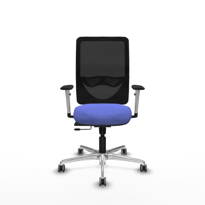 PIQUERAS Y CRESPO Silla de oficina Zulema con mecanismo Sincro/Traslack, Azul claro y Negro PIQUERAS Y CRESPO Silla de oficina Zulema con mecanismo Sincro/Traslack, Azul claro y Negro