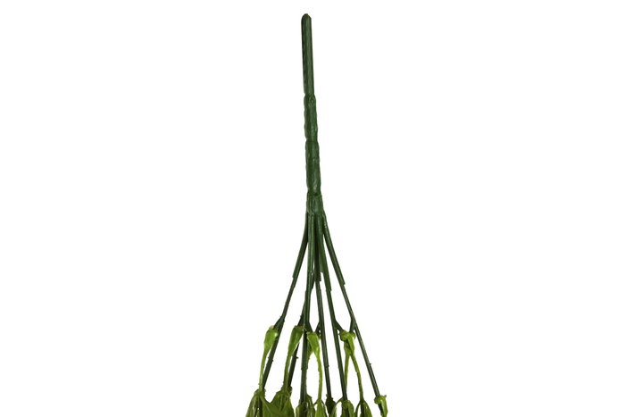 DKD Home Decor Ramas de PE Colgantes Verde Surtido de 2