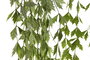 DKD Home Decor Ramas de PE Colgantes Verde Surtido de 2