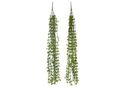DKD Home Decor Ramas de PE Colgantes Verde Surtido de 2