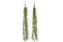 DKD Home Decor Ramas de PE Colgantes Verde Surtido de 2