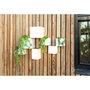 New Garden WALLY 12x12x18 Lámpara Solar de Pared