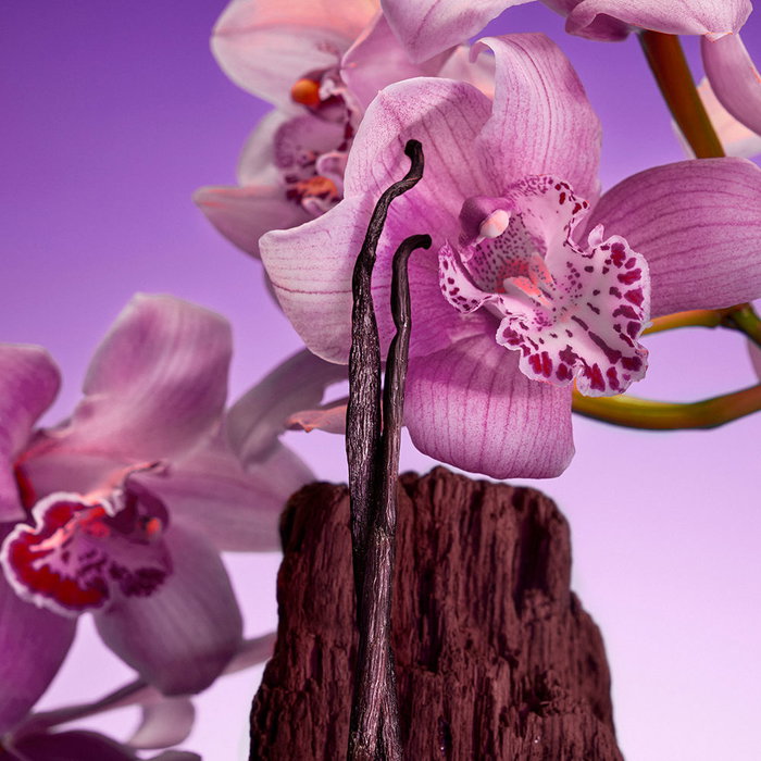 Calvin Klein Euphoria Bold Elixir Eau de Parfum 30 ml para Mujer - Fragancia original