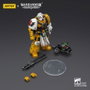 Warhammer 40,000: imperial Fists Figura Legion Apothecary 12 cm