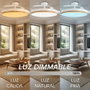 Yoevu CONCEPT NATURE Ventilador de Techo Blanco con Aspas Retráctiles y Luz LED