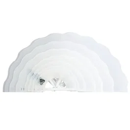 Necky Collar Isabelino Transparente Clásico Nº 40 - Pack 12 Unidades