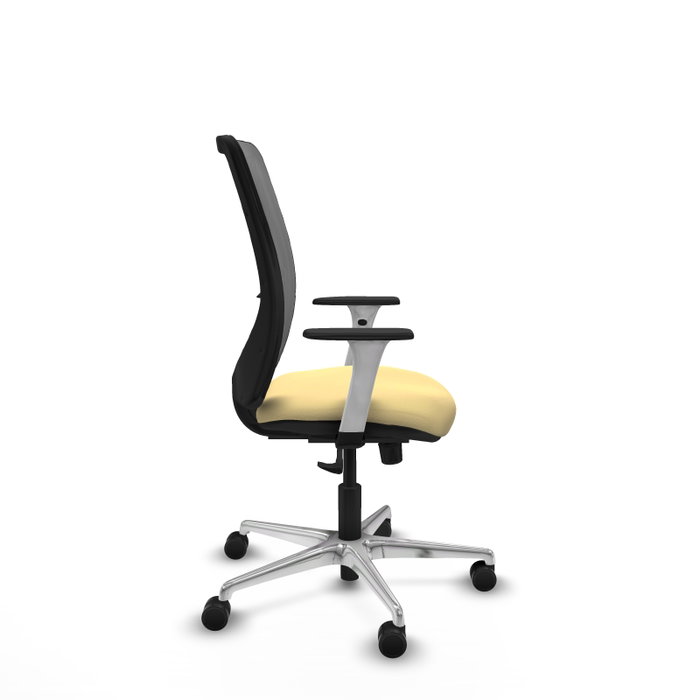 PIQUERAS Y CRESPO Silla de oficina Zulema con Mecanismo Sincro Crema y Gris PIQUERAS Y CRESPO Silla de oficina Zulema con Mecanismo Sincro Crema y Gris