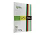 Liderpapel Papel Color A4 80gr Paquete 100 Hojas 10 Colores Surtidos