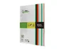 Liderpapel Papel Color A4 80gr Paquete 100 Hojas 10 Colores Surtidos
