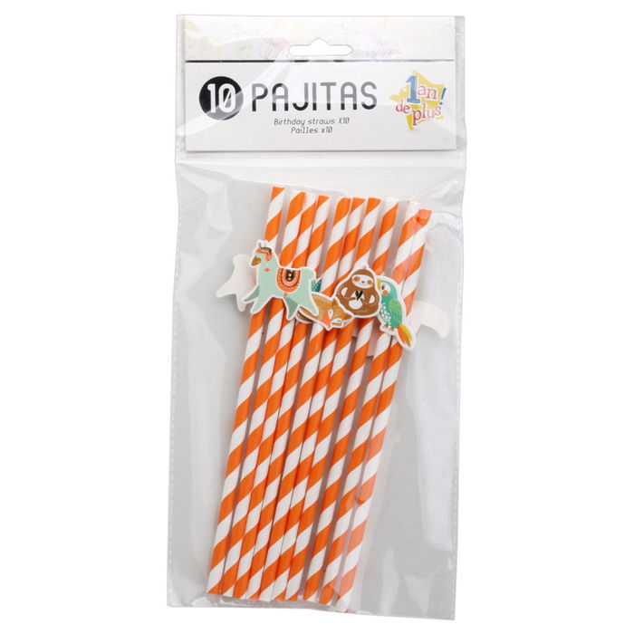 Party Time Juego De 10 Pajitas Cumpleaños Modelos Surtidos Unicornio Perezoso Rayas Longitud 19,5 cm