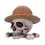 One Piece Bote de almacenamiento Luffy Jolly Roger