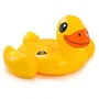 Intex 56263NP Flotador o Colchoneta Hinchable para Piscina Donut de Colores, 144 cm