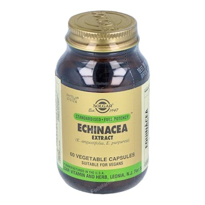 SOLGAR Echinacea 60 Cápsulas Vegetales con Extracto de Raíz Estandarizado SOLGAR Echinacea 60 Cápsulas Vegetales con Extracto de Raíz Estandarizado