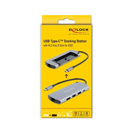 DeLOCK Docking Station USB Type-C con Ranura M.2, HDMI 4K, USB, LAN, Carga PD 3.0 - 62914