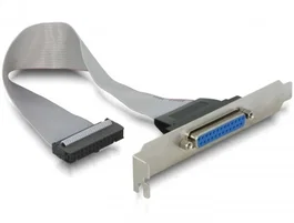 Delock 84300 Adaptador de puerto paralelo con bracket trasero y cable de 0,22 m