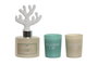 DKD Home Decor Set de 3 Ambientadores Mikado Cristal Atlántico Azul 100 ml