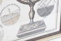DKD Home Decor Cuadro Mapamundi Enmarcado Cristal PS 95x65 cm