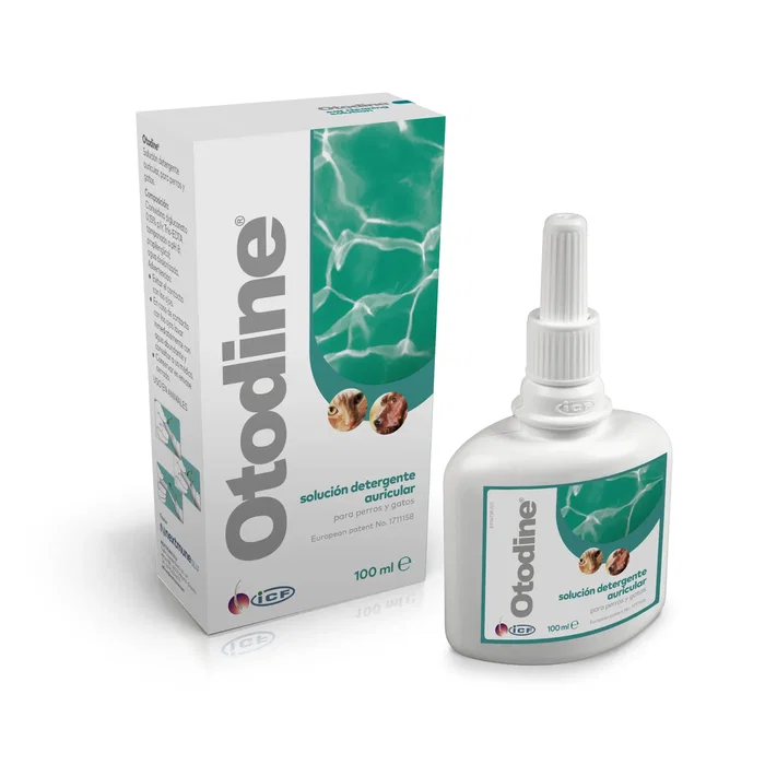 Icf-Drn Otodine 100ml
