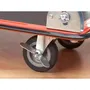 Meister Carro de Plataforma Plegable 150kg - Carro de Transporte Resistente y Compacto