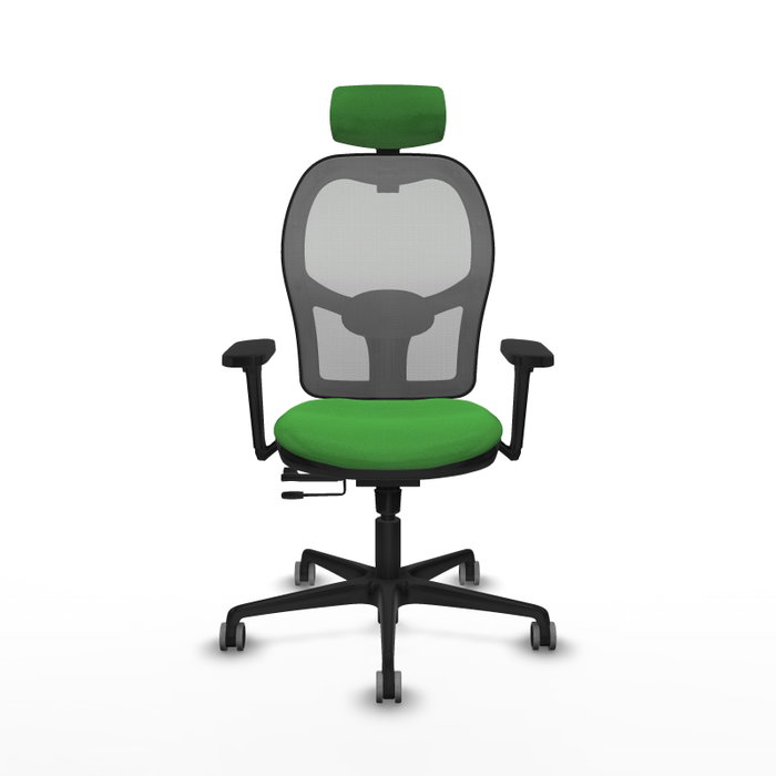 PIQUERAS Y CRESPO Silla de oficina Jorquera con mecanismo Sincro/Traslack, Verde y Gris PIQUERAS Y CRESPO Silla de oficina Jorquera con mecanismo Sincro/Traslack, Verde y Gris
