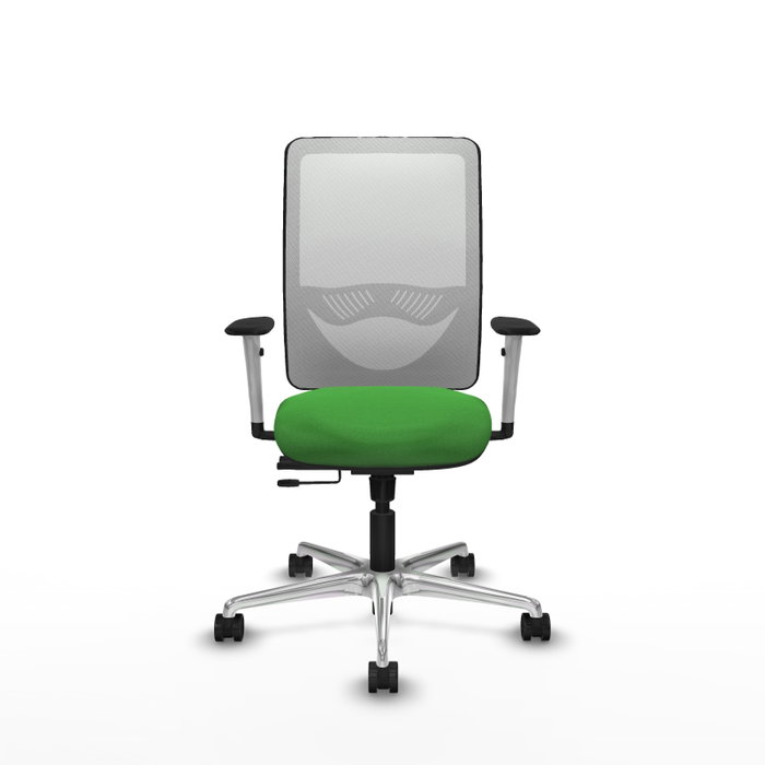 PIQUERAS Y CRESPO Silla de oficina Zulema con mecanismo Sincro/Traslack Verde y Blanco PIQUERAS Y CRESPO Silla de oficina Zulema con mecanismo Sincro/Traslack Verde y Blanco