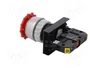 SPAMEL Interruptor de emergencia ST22 rojo 22mm NC
