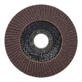 Workpro Disco de Láminas Abrasivo T29 Ø125 x 22.2 mm, Óxido de Aluminio, Grano 120, Para Acero Endurecido y Aleado, Disco Flexible Convexo