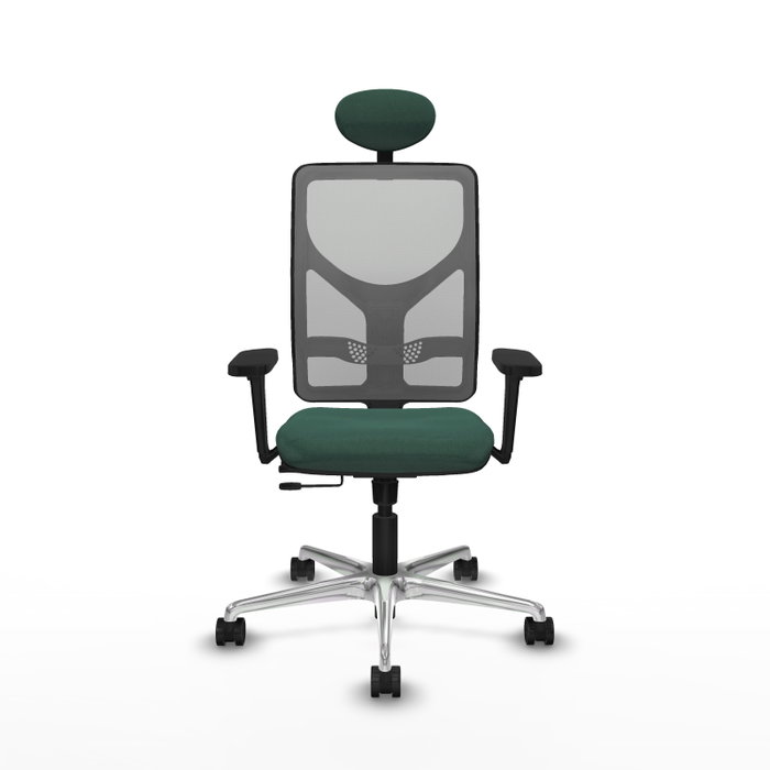 PIQUERAS Y CRESPO Silla de oficina Motilla con mecanismo Sincro/Traslack, Verde botella y Gris PIQUERAS Y CRESPO Silla de oficina Motilla con mecanismo Sincro/Traslack, Verde botella y Gris